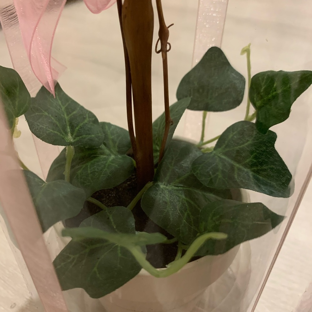 Two Brand New Pink Roses Floral Topiaries- - Picture 4 of 5